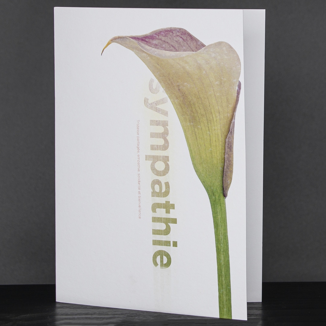 Editions MaT Carte Double Fleur Au Mot Sympathie